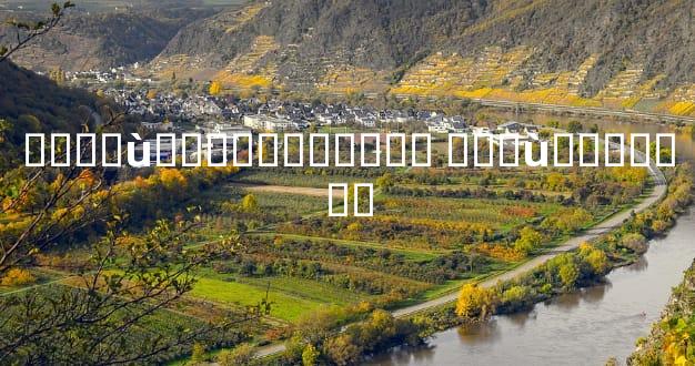 ����ù�˵��������� �Դ�ù�˵�����